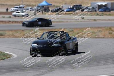 media/May-24-2025-Extreme Speed (Sat) [[067a6f0386]]/Silver Group/Turn 2 and 4/
